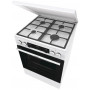 Комбинированная плита Gorenje GK6C5WF белый