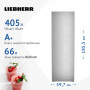 Однокамерный холодильник Liebherr RBsfe 5220