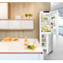 Холодильник Liebherr CN 4315, двухкамерный