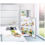 Холодильник Liebherr CTel 2531-20, двухкамерный