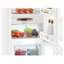 Холодильник Liebherr C 3525, двухкамерный